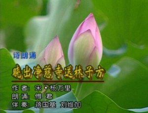 发布
