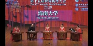 演奏音频视频和学术文章等内容