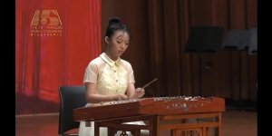 提供演奏家更为全面的动态
